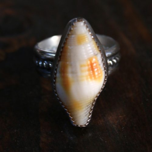Anillo CARACOL MARINO II – Talla 14, 15, 16 (Anillo abierto)