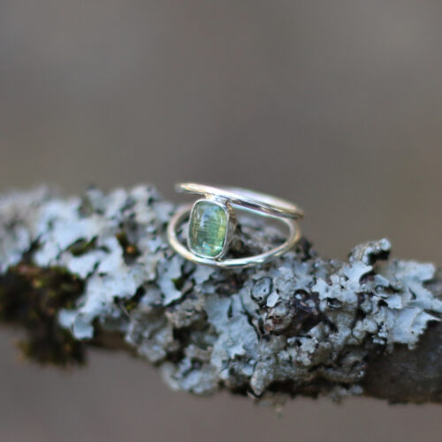 Anillo RADICULA - Talla  13
